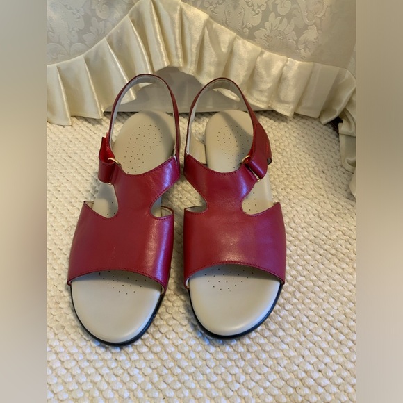 SAS - Picture 4 of 12